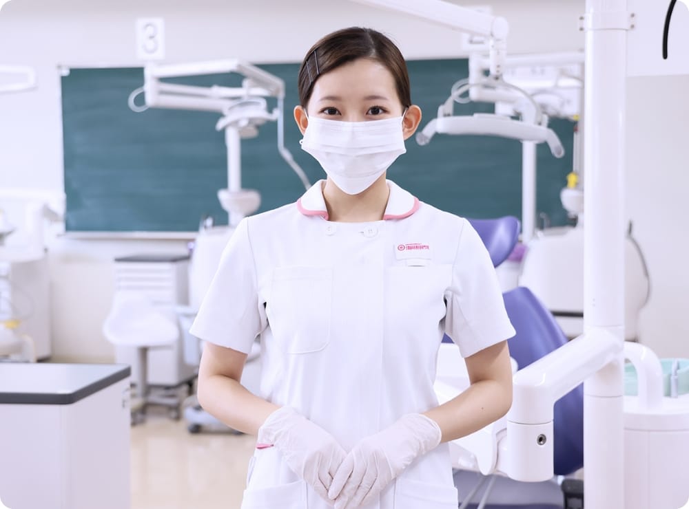 歯科衛生士の仕事