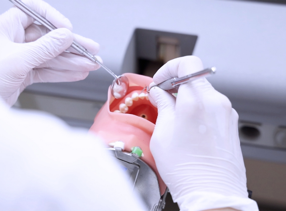 歯・口の健康維持の幅広い可能性を持つ国家資格