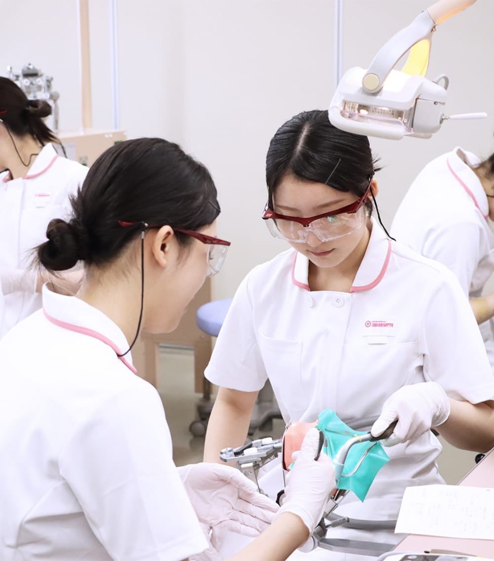 女性2人が横に並んで打ち合わせしている写真