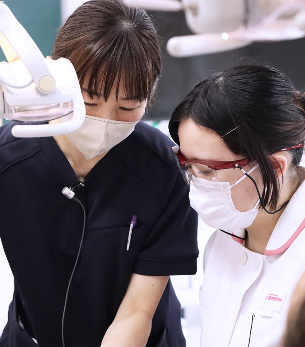 女性2人が横に並んで打ち合わせしている写真